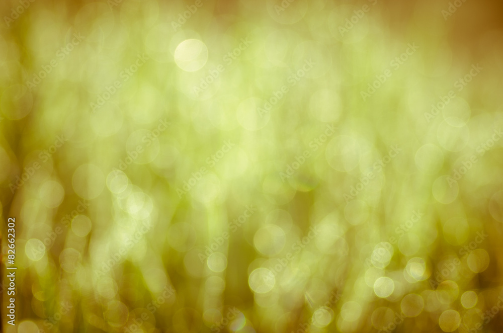 Obraz premium nature bokeh background