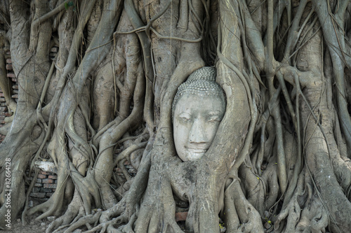 Buddha's head in tree roots at Wat Mahathat Thailand