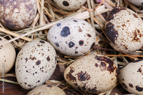 quail eggs