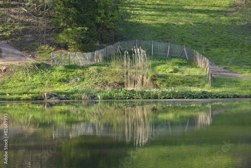 Reflet dans l   tang du parc Solvay Tournai    Bruxelles