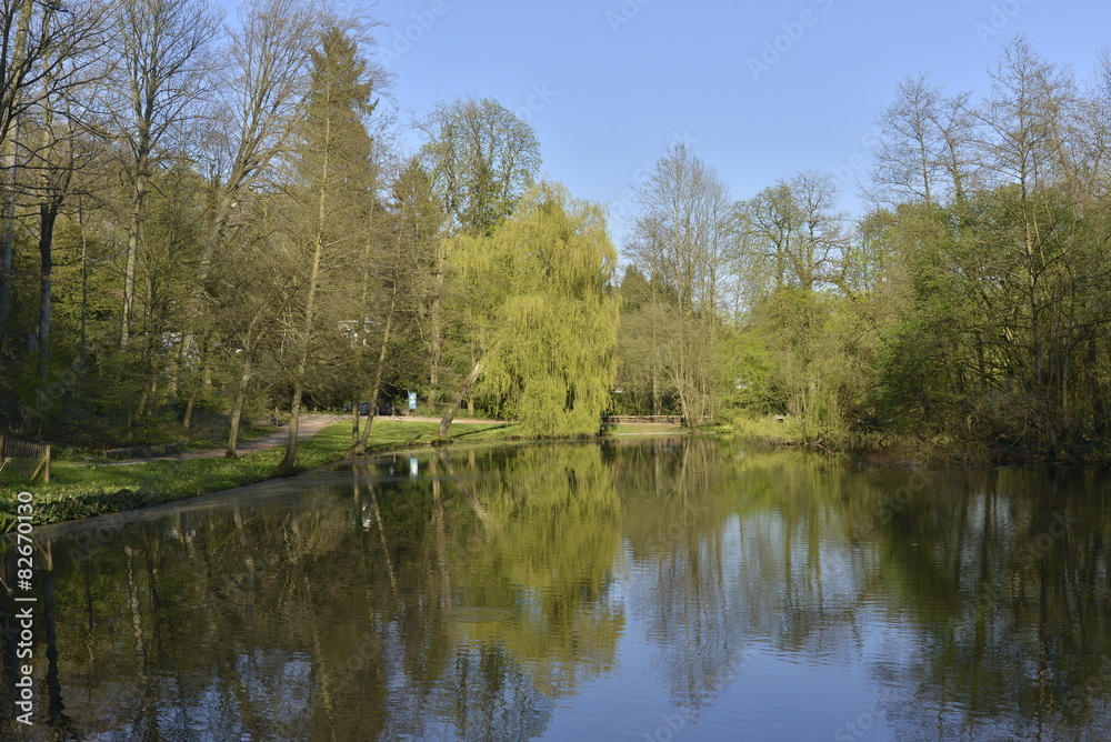Printemps et effet miroir à l'étang du parc Solvay Tournai