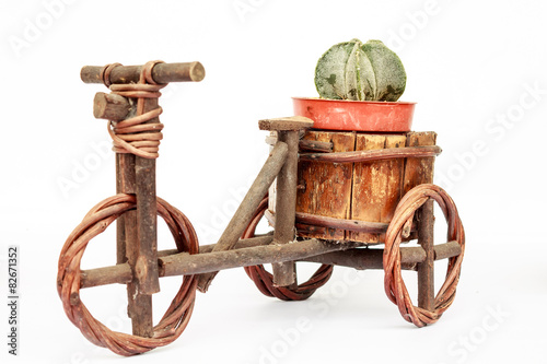 cactus in pots on White background and isolated