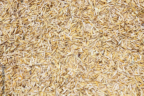 Rice Husk  on White background