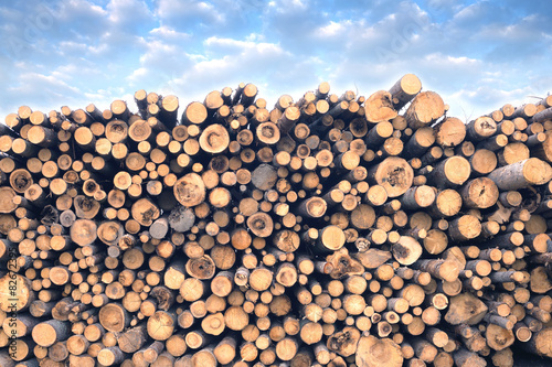 Many sawed pine logs stacked in a pile under cloudy sky