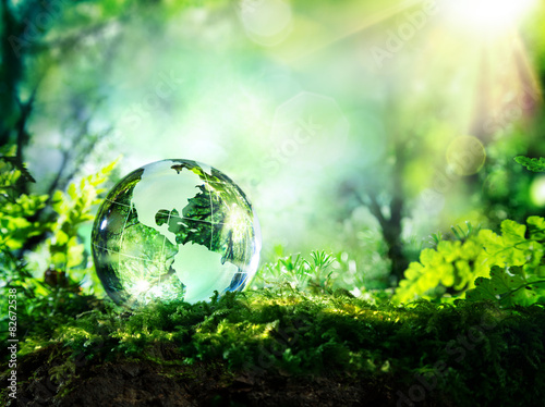 crystal globe on moss in a forest - environment concept 