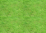 Seamless tileable texture - green grass meadow