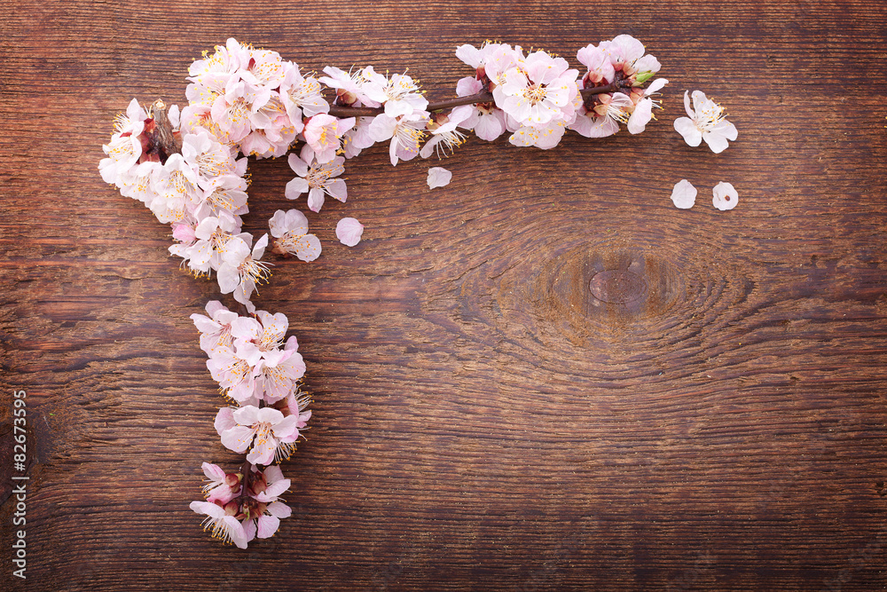 frame with flowering branches on wooden board frame with flowering branches on wooden board