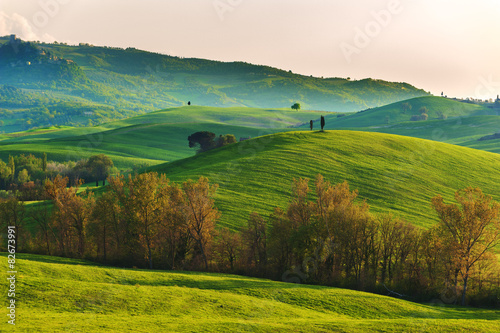 Wavy fields in spring Tuscany Landscape