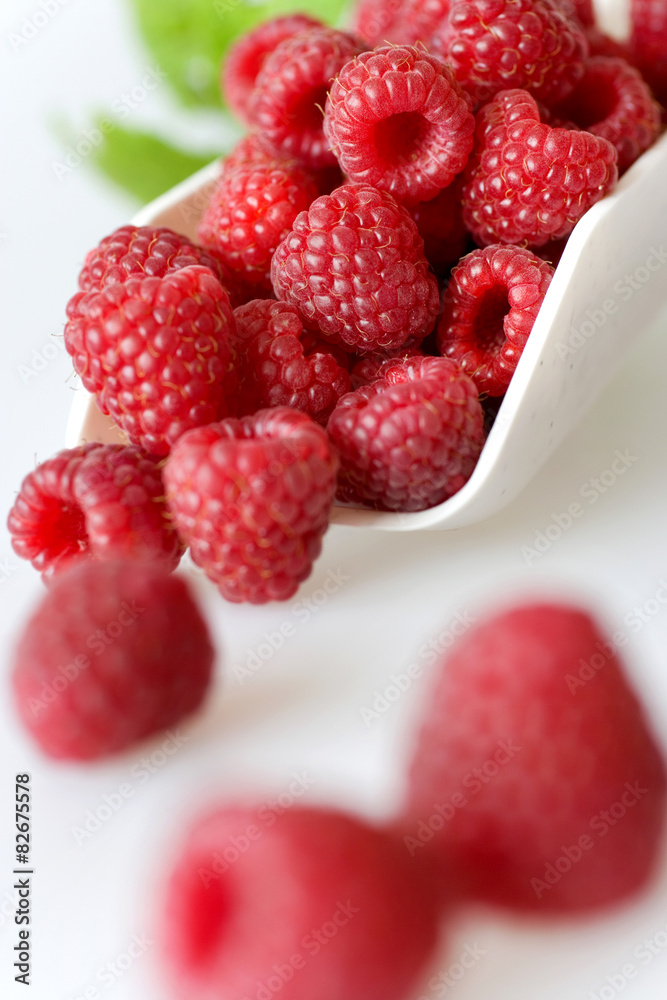red raspberry on white background red raspberry on white background