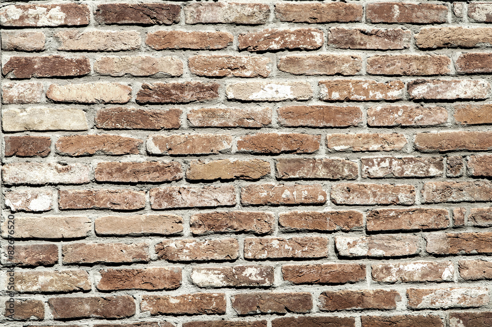 Fototapeta premium Wall