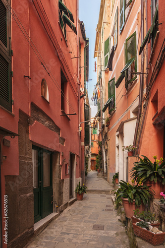 Street in the seaside town in the National Park of Cinque Terre 