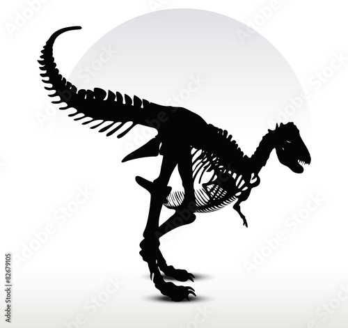 dinosaurs trex skeleton © ISTANBUL2009