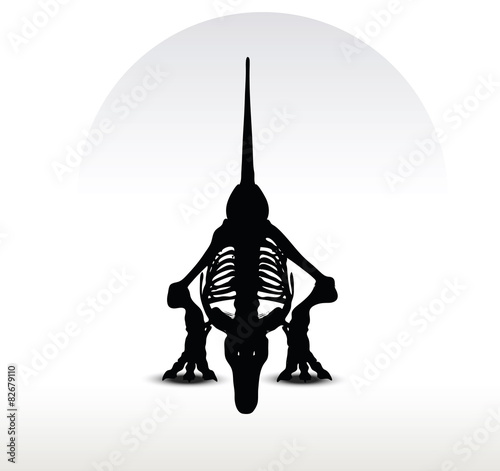 dinosaurs trex skeleton