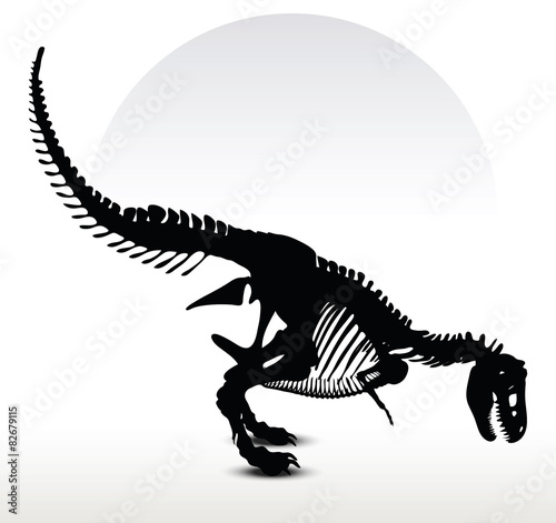 dinosaurs trex skeleton © ISTANBUL2009