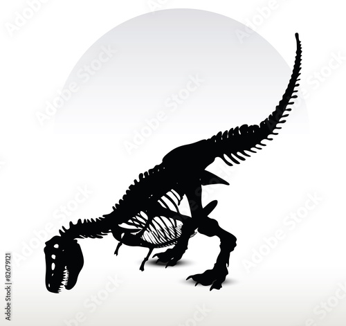 dinosaurs trex skeleton photo