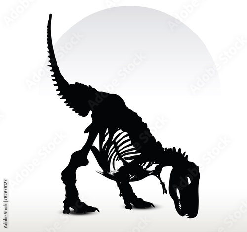 dinosaurs trex skeleton