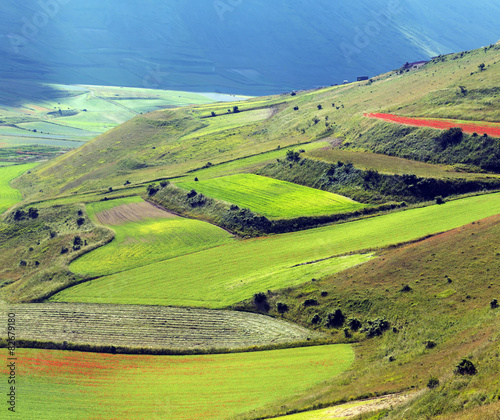 Piano Grande di Castelluccio (Italy)