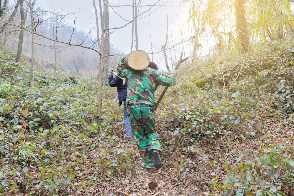 Naklejka premium two man carry wood in the forest