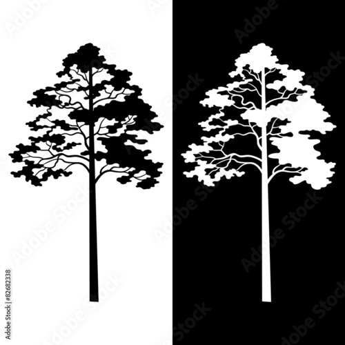 Pine Trees Black and White Silhouettes
