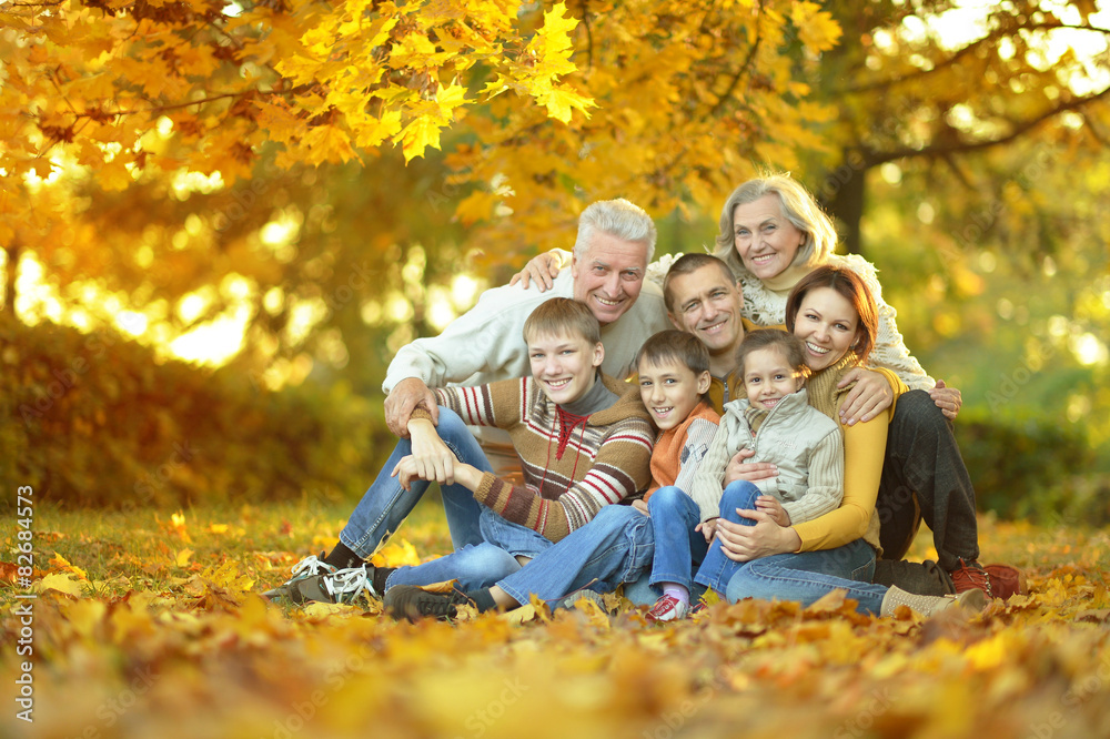 Family relaxing in autumn park Family relaxing in autumn park