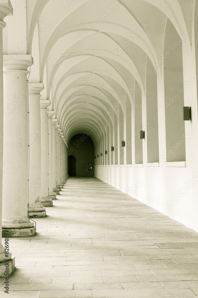 Fototapeta premium columns