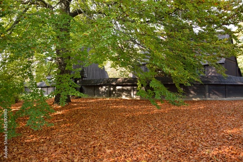 Canvas Print Is it autumn or spring?