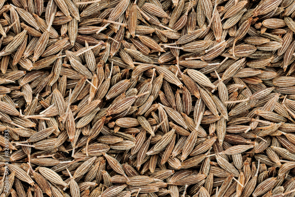 Cumin Seeds Seamless Texture Cumin Seeds Seamless Texture