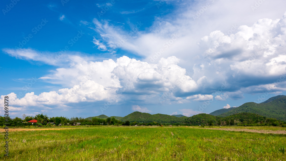 field and blue sky with light clouds field and blue sky with light clouds