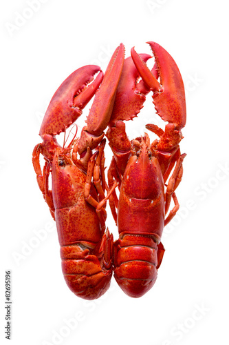 Two Red Lobsters Isolated on White Background photo