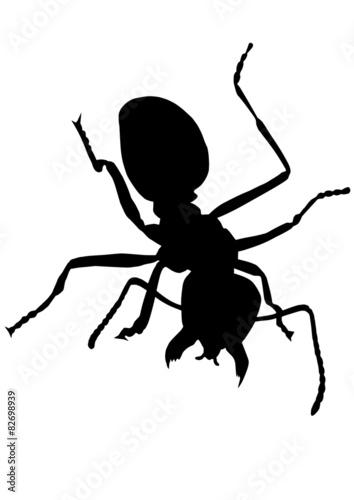 Ant silhouette