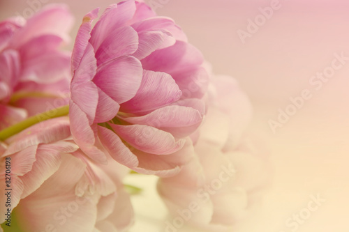 Fototapeta Naklejka Na Ścianę i Meble -  Trendy Toned Blurred Flower Background. Space for Text.