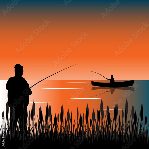 Bulrush on lake