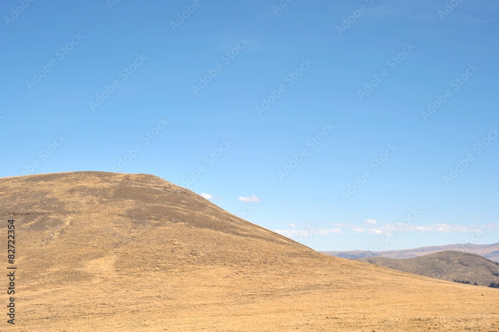 Altiplano. Bolivia Altiplano. Bolivia