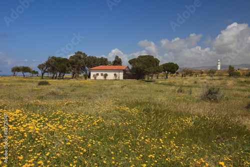 Country landscape in Cyprus in the spring. horizontal 