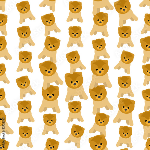 Seamless colorful background made of dogs breed spitz 