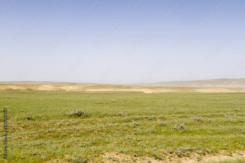 Obraz premium steppe