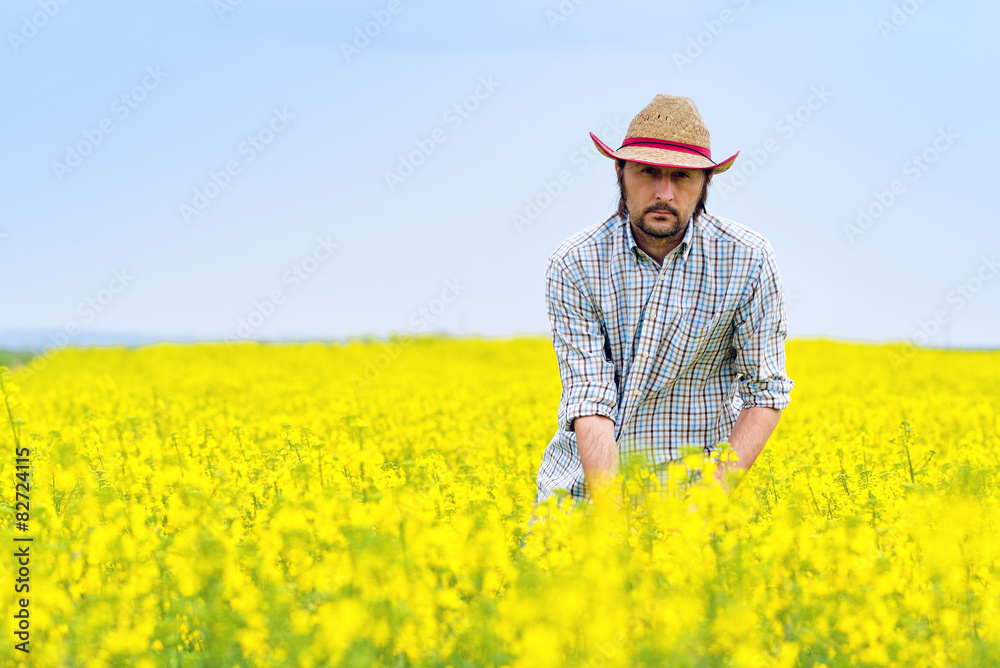 Farmer Standing in Oilseed Rapeseed Cultivated Agricultural Fiel