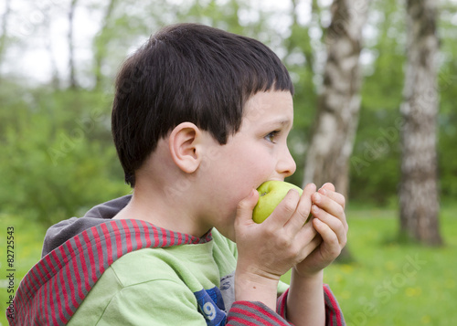 Child boy eating an apple in a park or in nature.