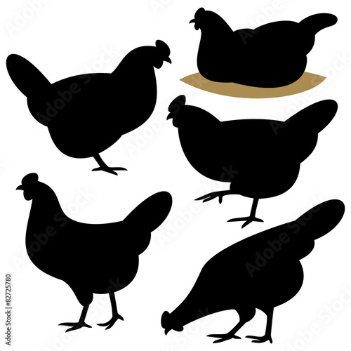 Chicken