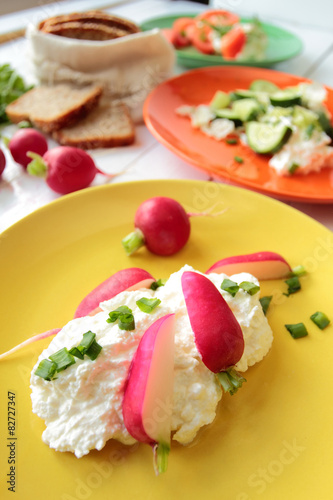 Fresh cottage cheese with radish and chive