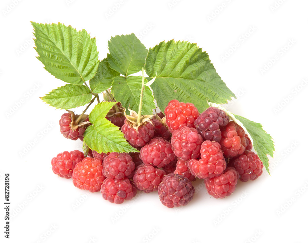 raspberries raspberries