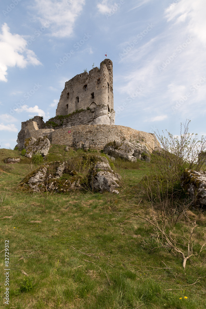 ruins of a castle in Mirów
