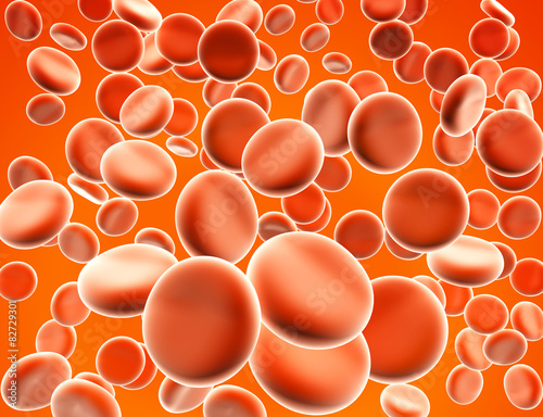 Erythrocytes