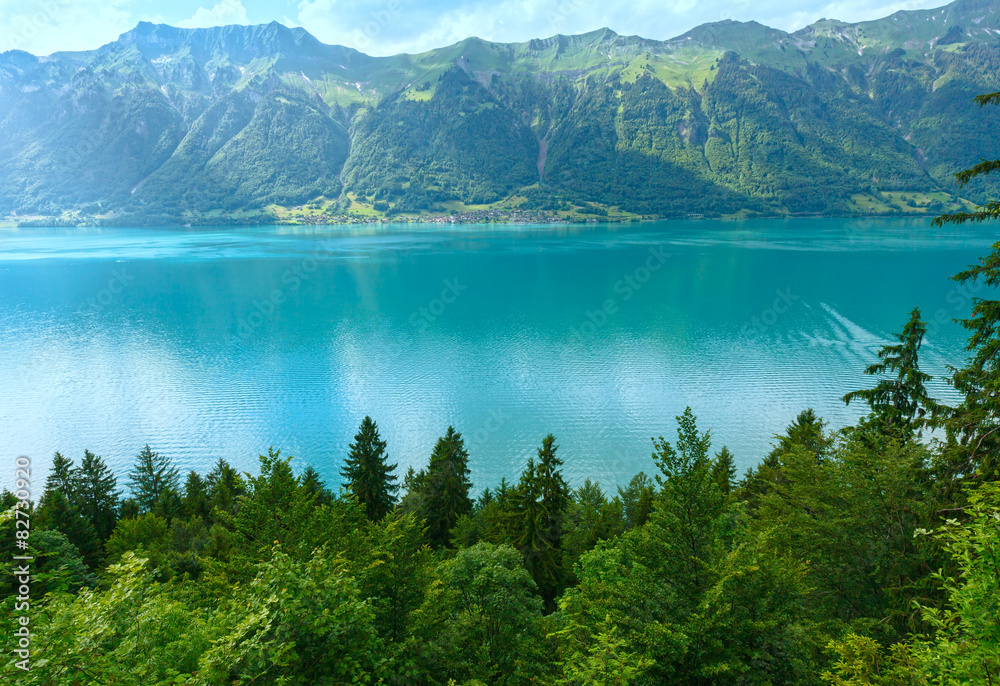 Lake Brienz summer view (Switzerland).