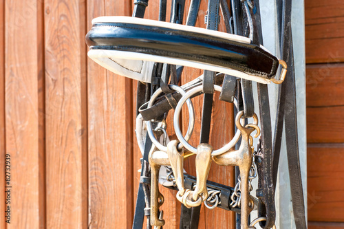 Horse bridle hanging on stable wooden door. Closeup outdoors. Fototapeta