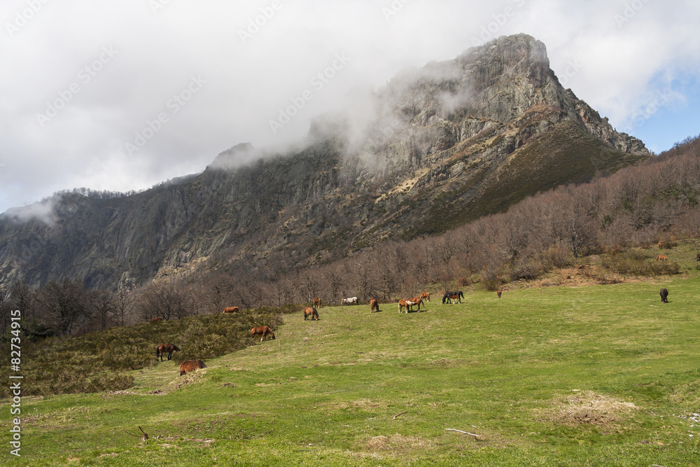 Panderrueda mountain pass, Picos de Europa, Leon, Spain