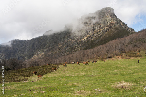 Panderrueda mountain pass, Picos de Europa, Leon, Spain