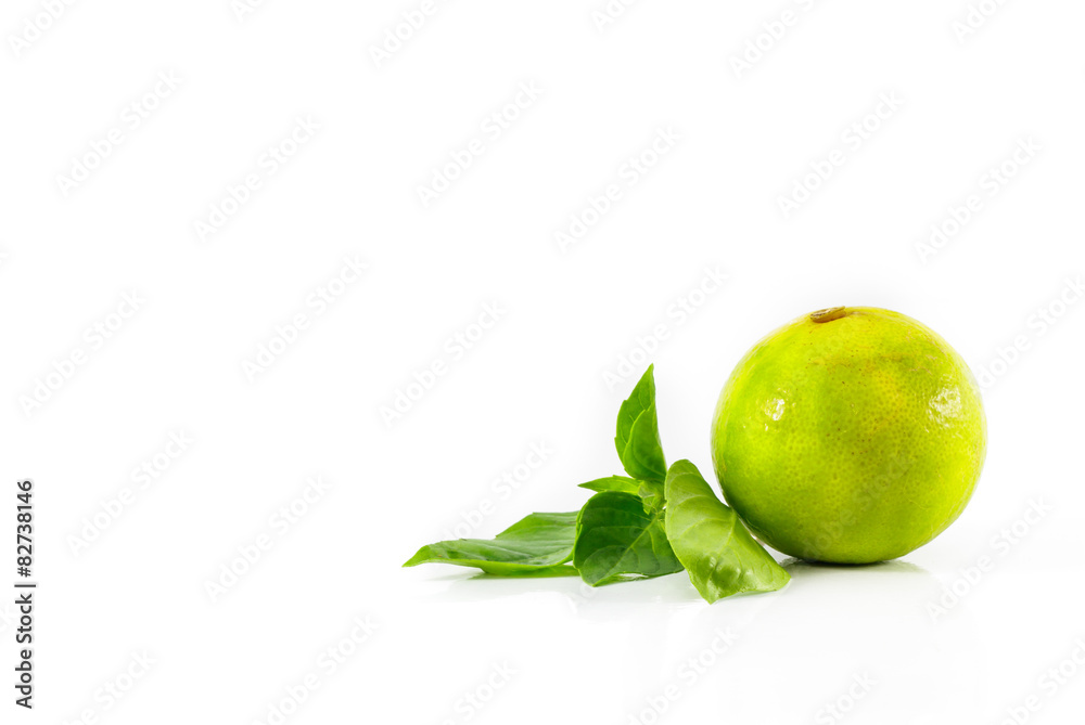 limes on white background limes on white background