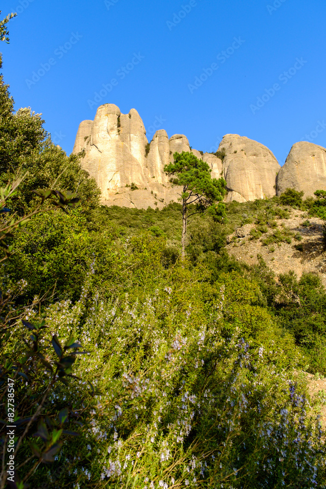 Panoramic in Montserrat
