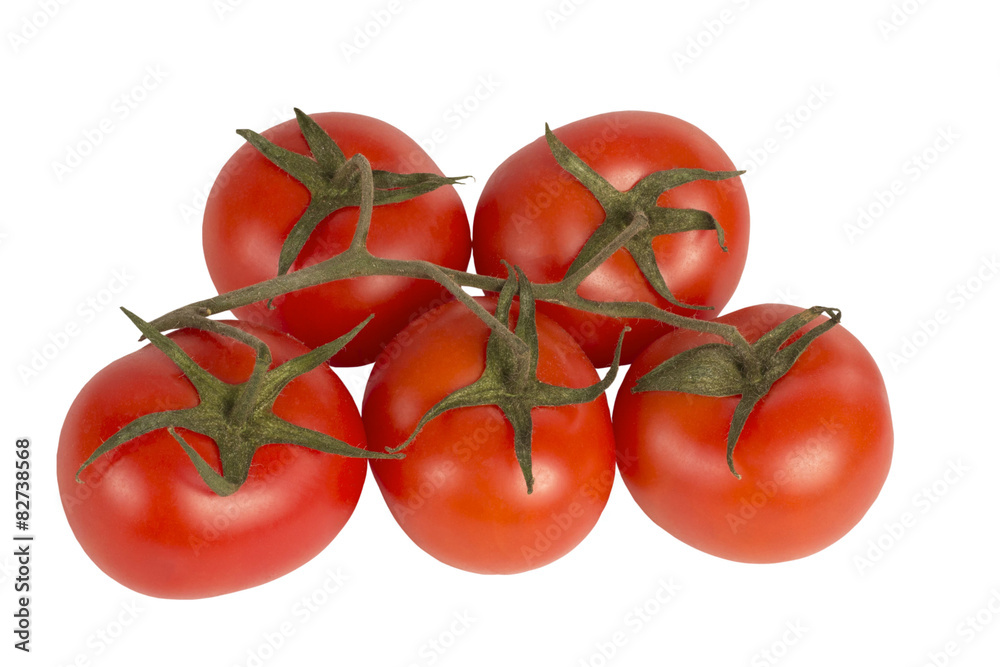 Tomatoes on a branch on a white background